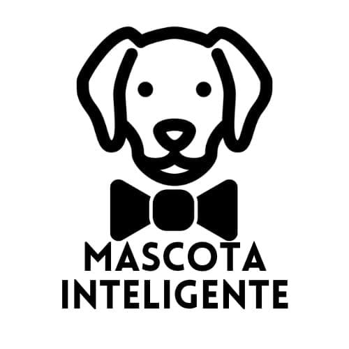 Avatar de Mascota Inteligente