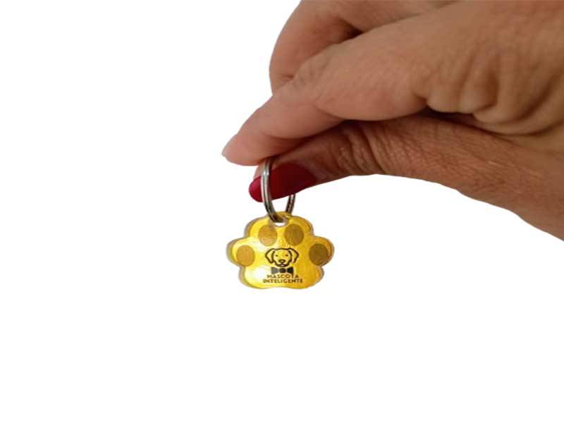 Placas QR Para Mascota Dorado